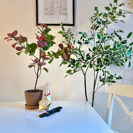 Apartment Ruby